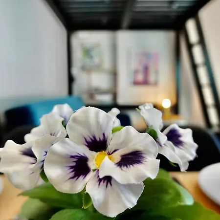 Linea1 Loft Apartamento *