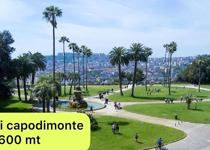 Διαμέρισμα Linea1 Loft